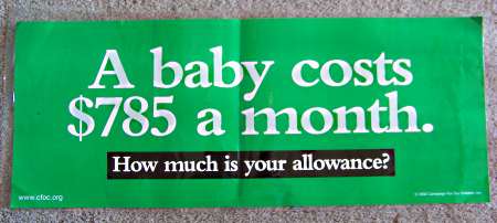 A baby costs 785 a month how much is your allowance