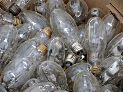 box of lightbulbs